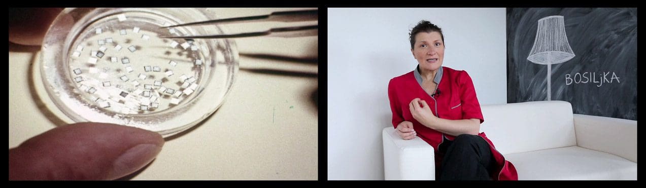 margareta Artist of the week: Margareta Kern